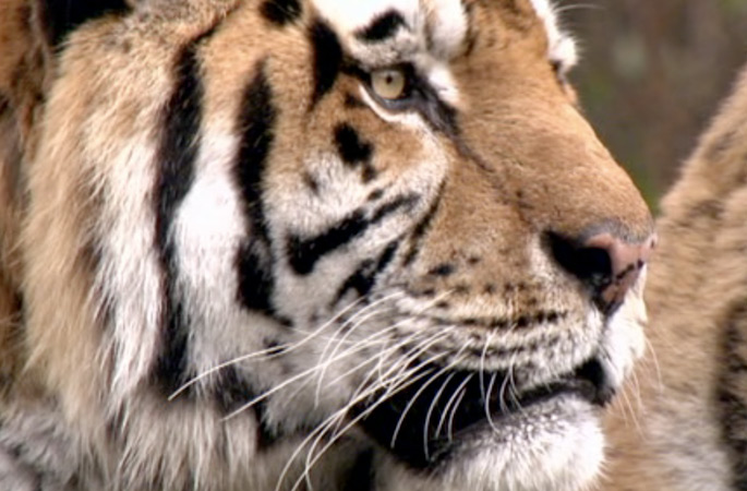 Referenzfoto ein & alles